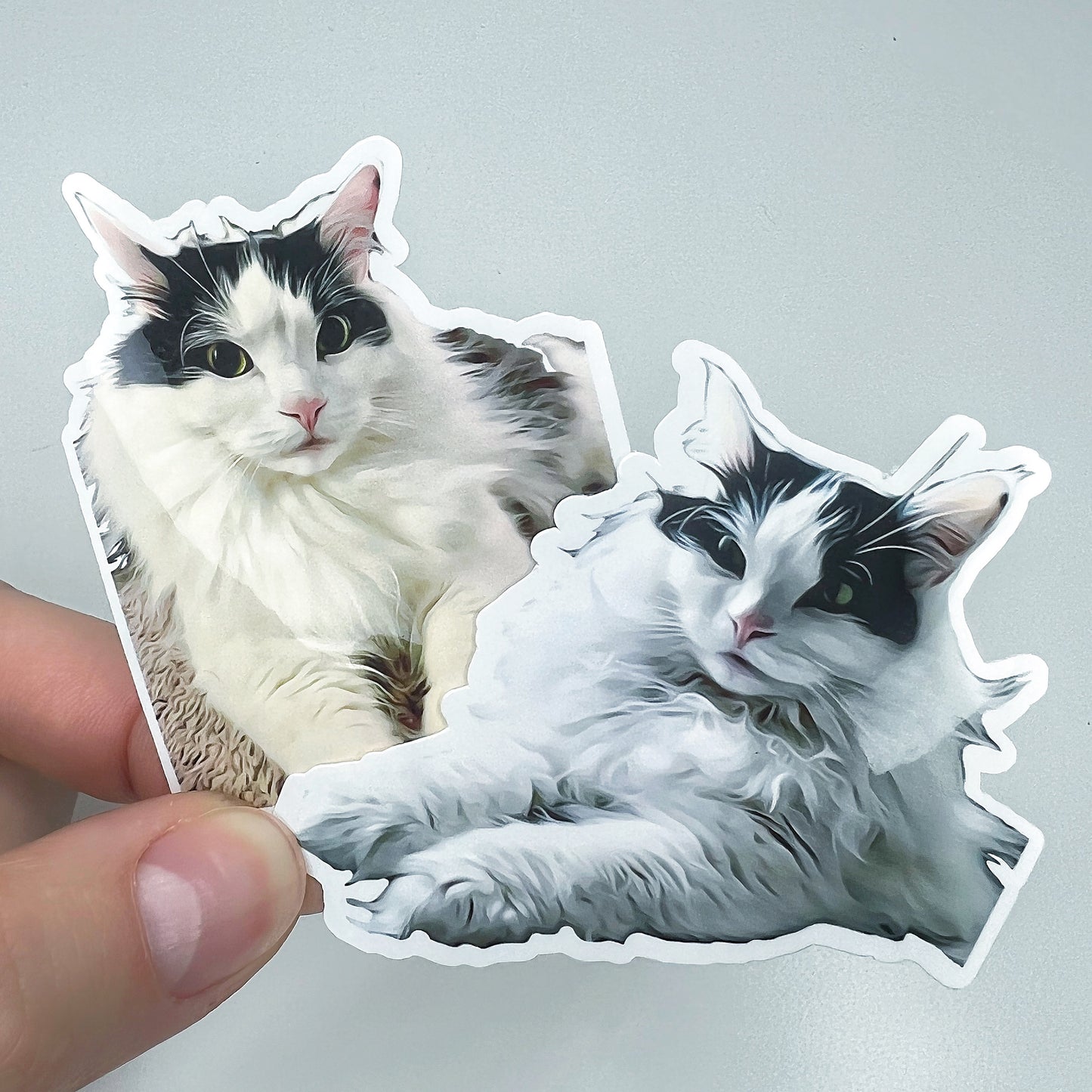 Custom Pet Sticker